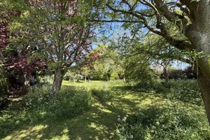 Photo 43- click for photo gallery